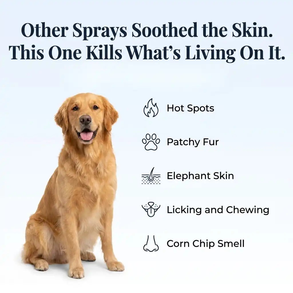 Healo Skin & Coat