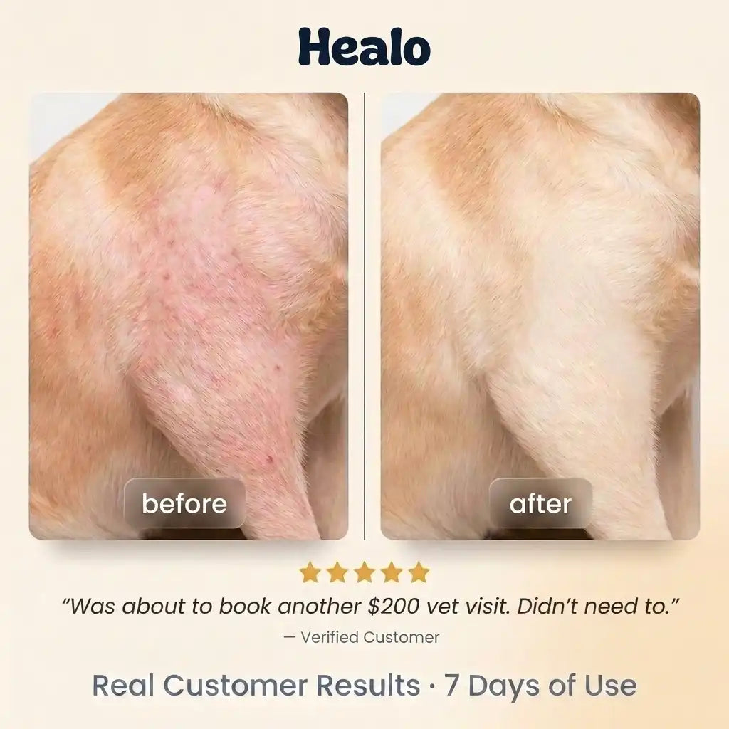 Healo Skin & Coat