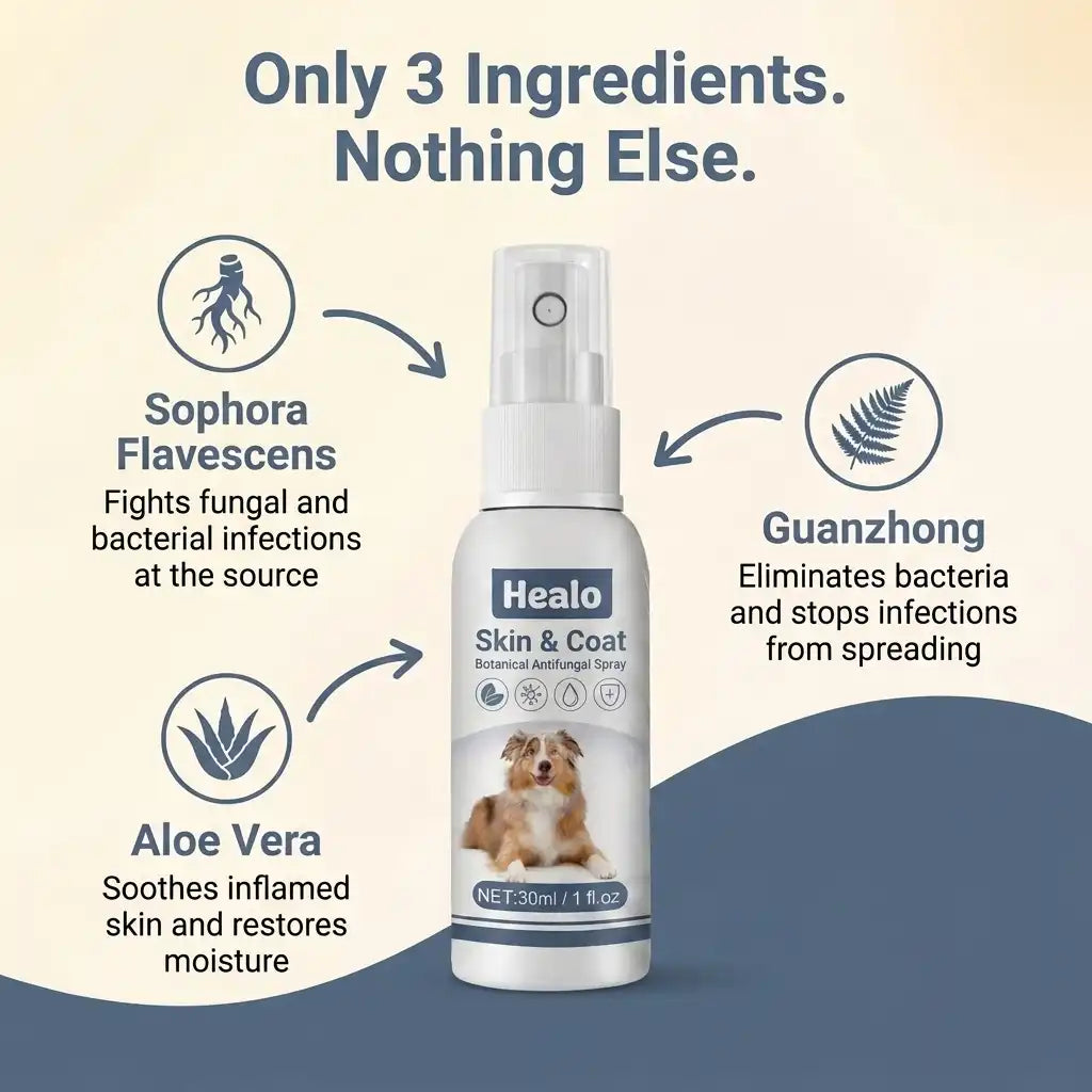 Healo Skin & Coat
