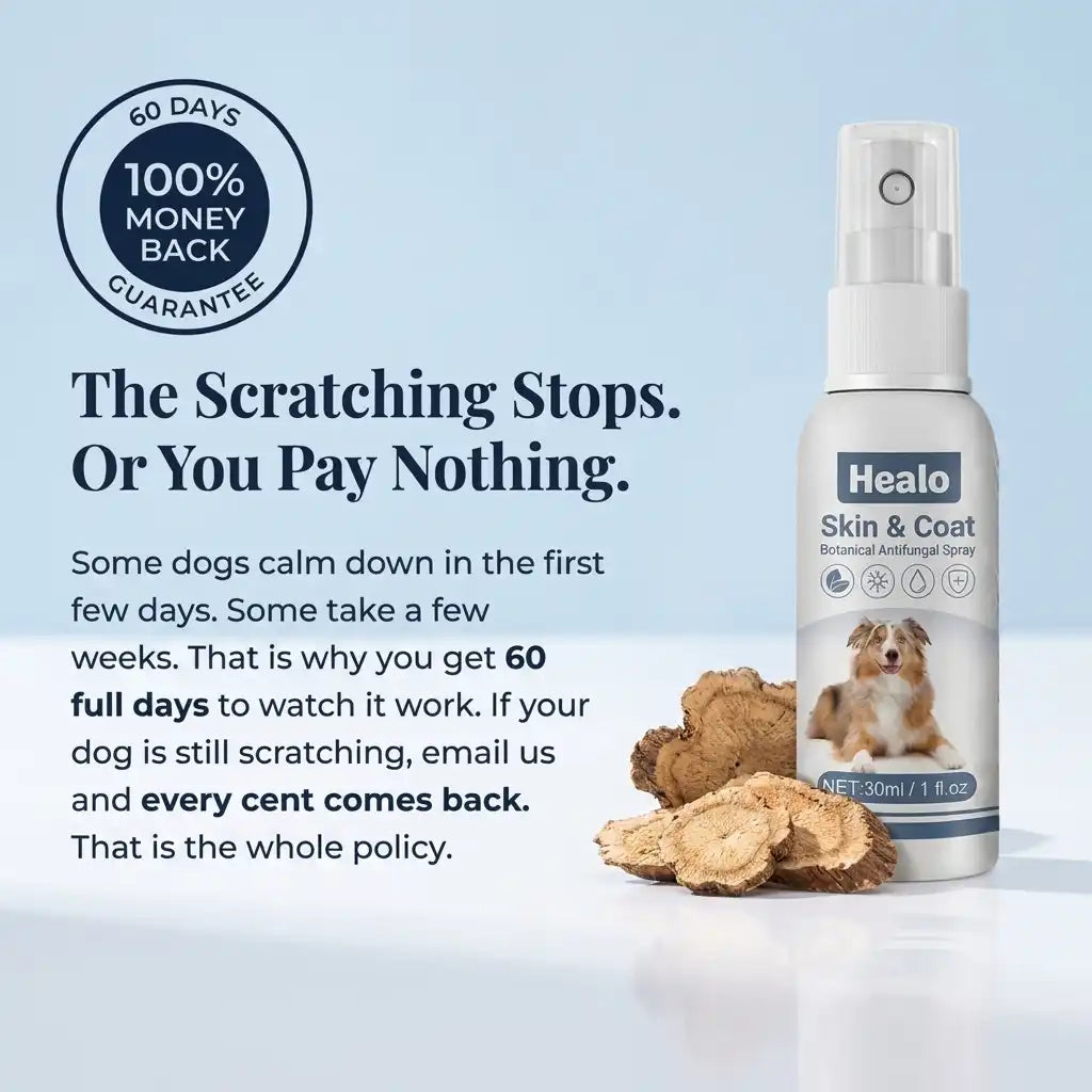 Healo Skin & Coat